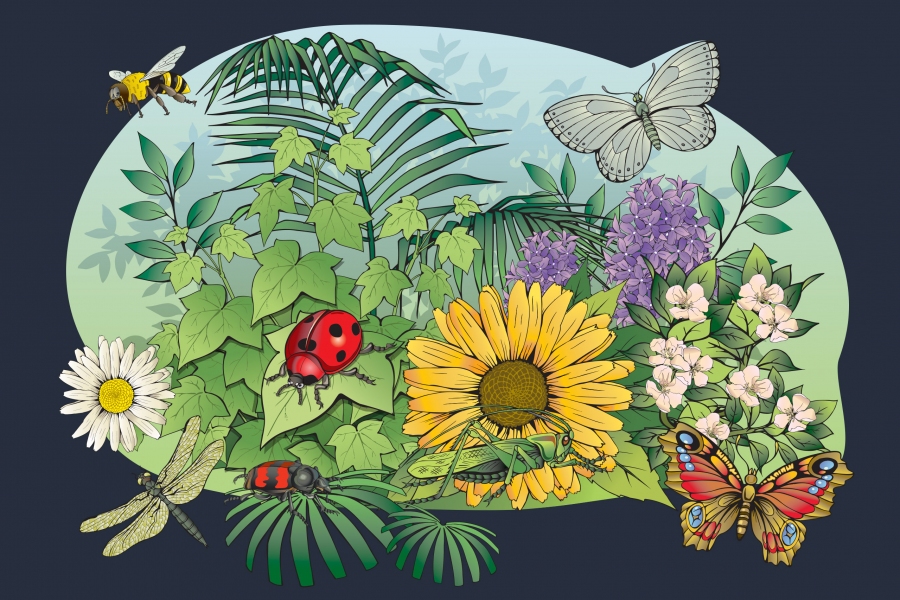 Flowers-and-Bugs.jpg