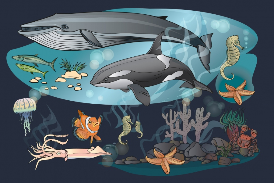 SeaLife.jpg